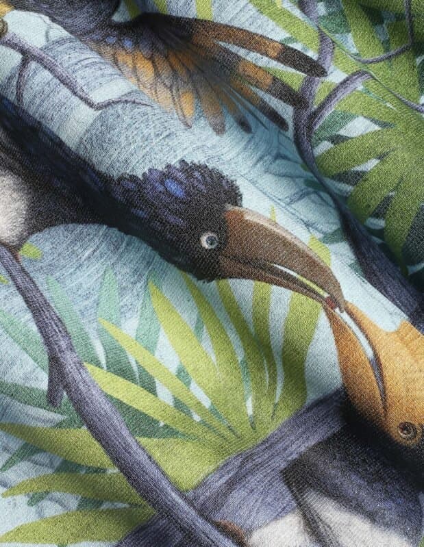 Papier peint Hornbill - 2