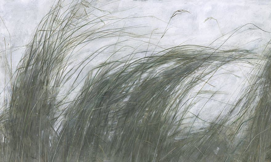 Papier peint Mist - 4