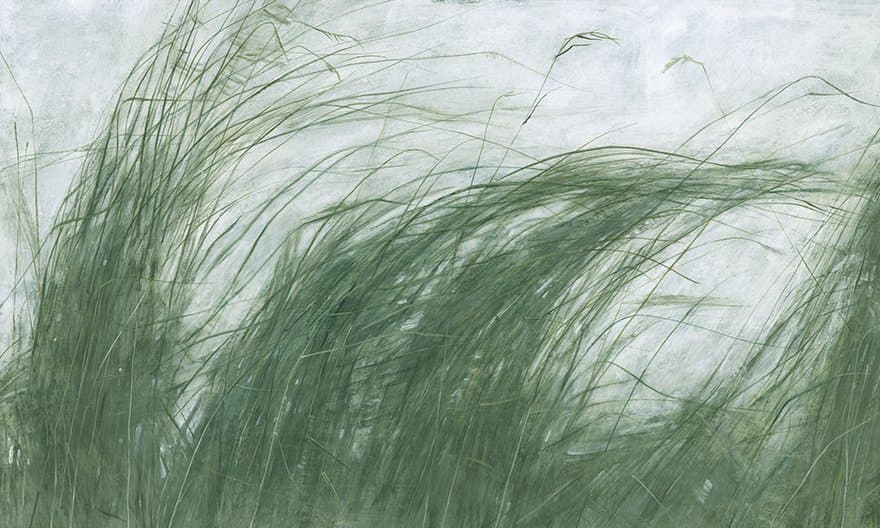 Papier peint Mist - 5