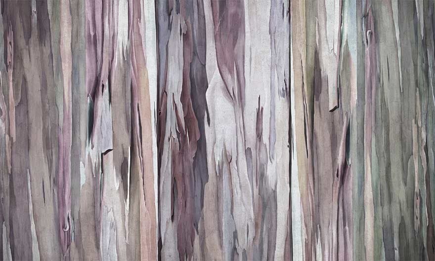 Papier peint Valentina - 4