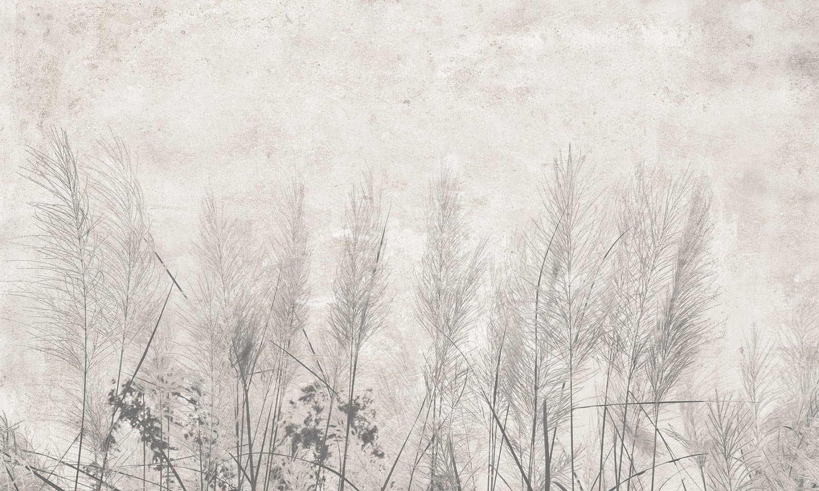 Papier peint Morning mist