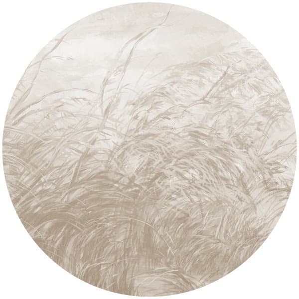 Papier peint cercle Early Dawn 3 - 2