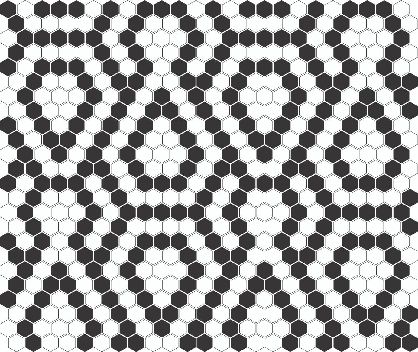 Mosaïque Dentelle Mini Hexagone Noir et Blanc - 4