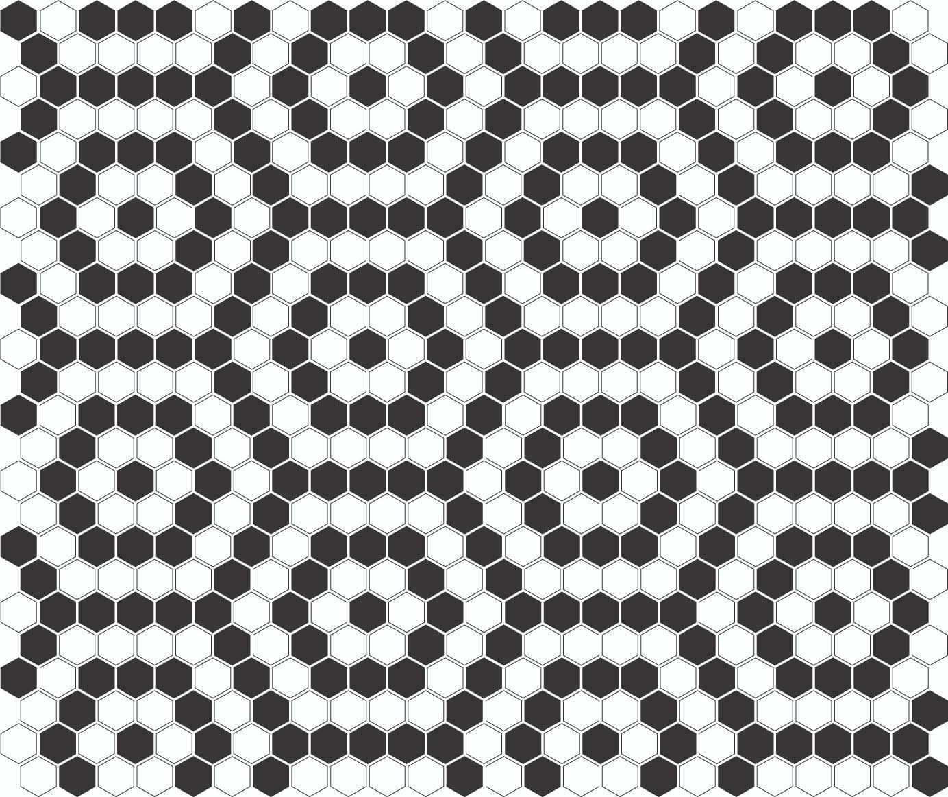 Mini Hexagone Noir et Blanc Nano - 4