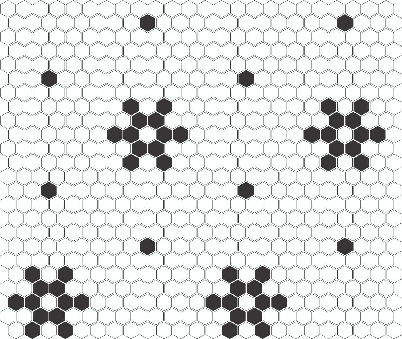 Mosaïque Mini Hexagone Noir et Blanc Neige - 4
