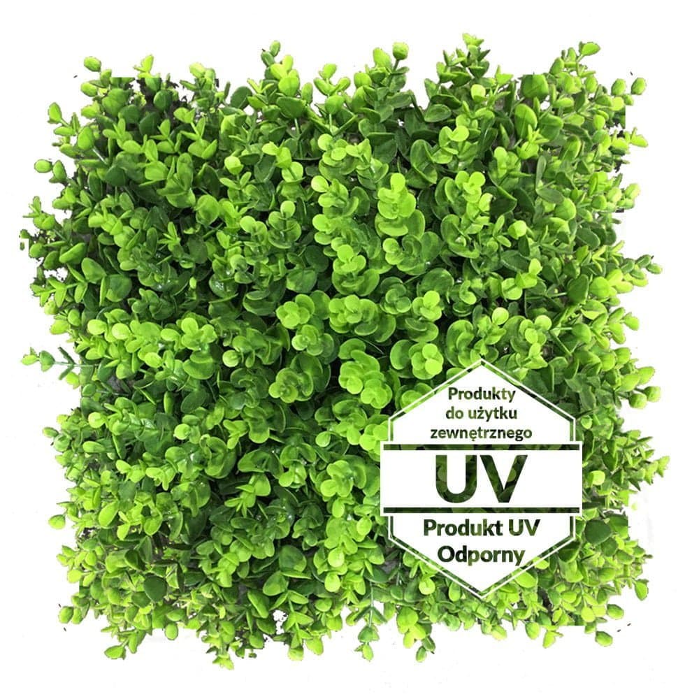 Tapis vert artificiel Wielomlecz UV 50×50 cm