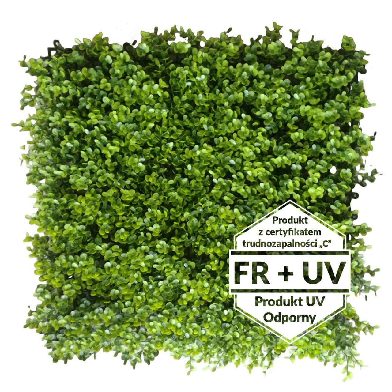 Tapis vert artificiel Borówka FR UV – C 50×50 cm