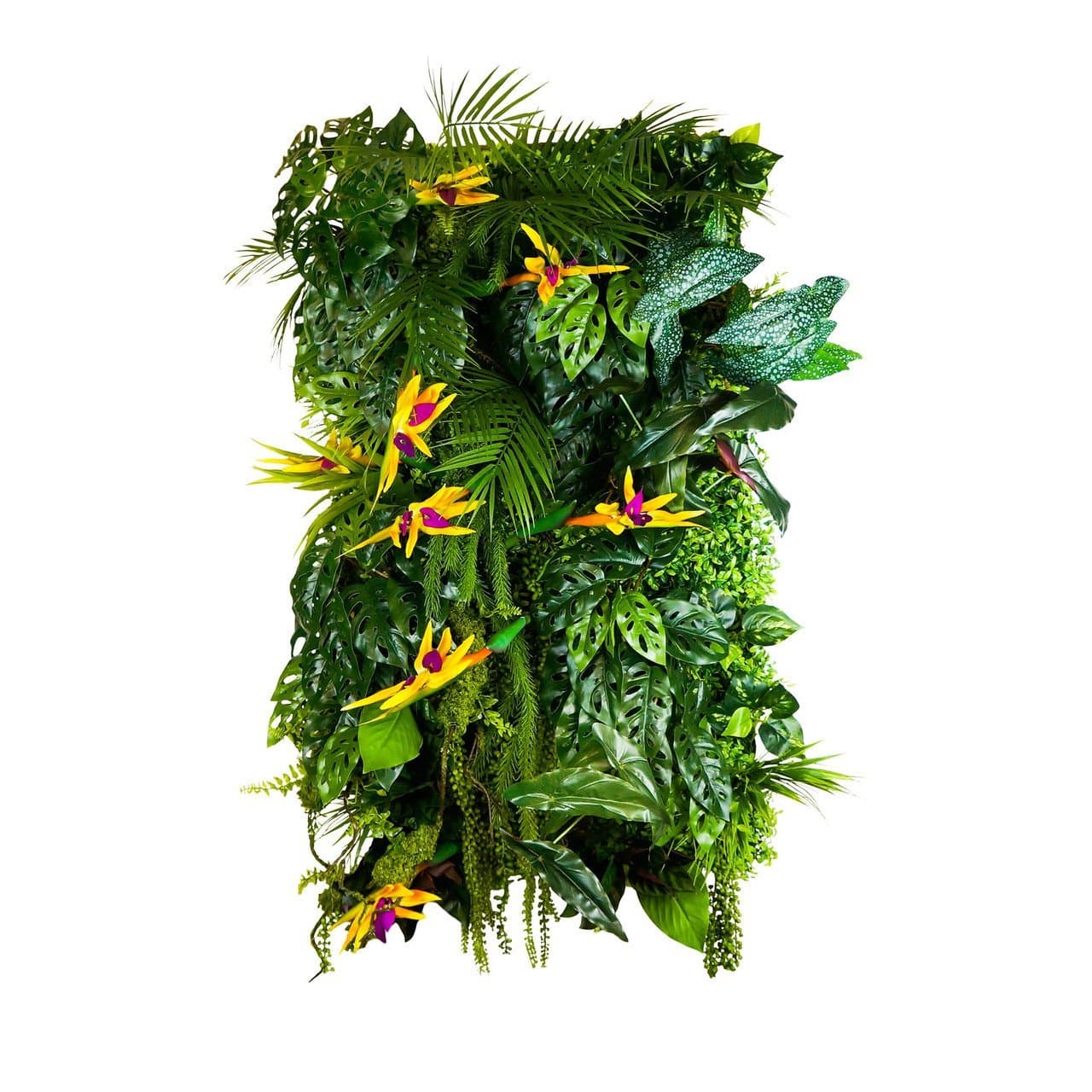 Jardin vertical Seychelles Sun