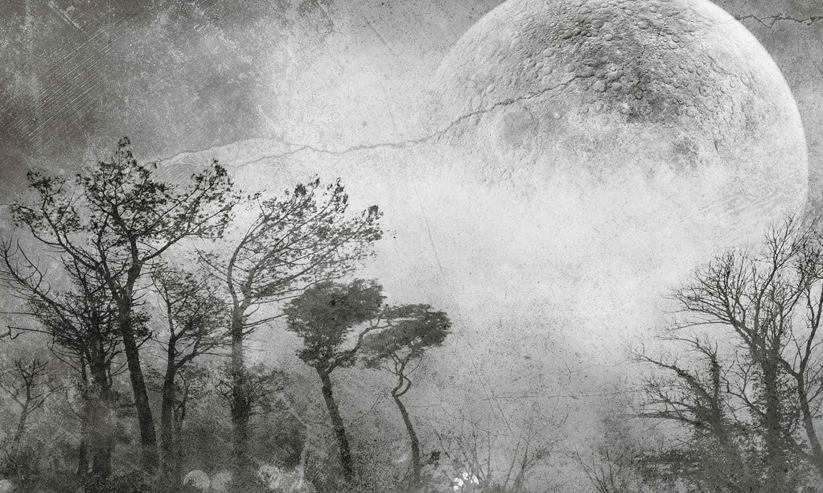 Papier peint Moonlight