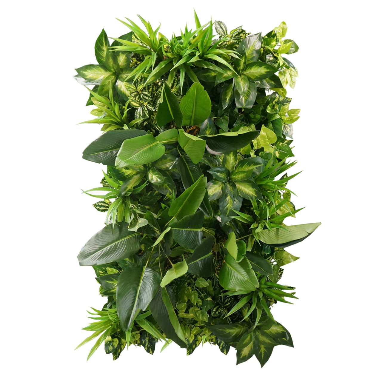 Jardin vertical Tropical Freshness