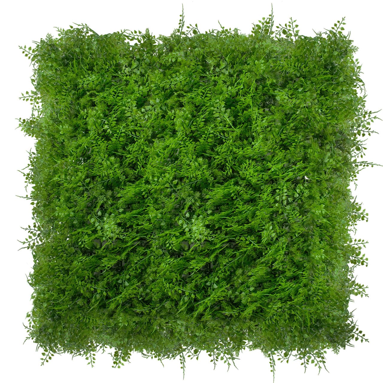 Mur vert Znakocica 50x50 cm