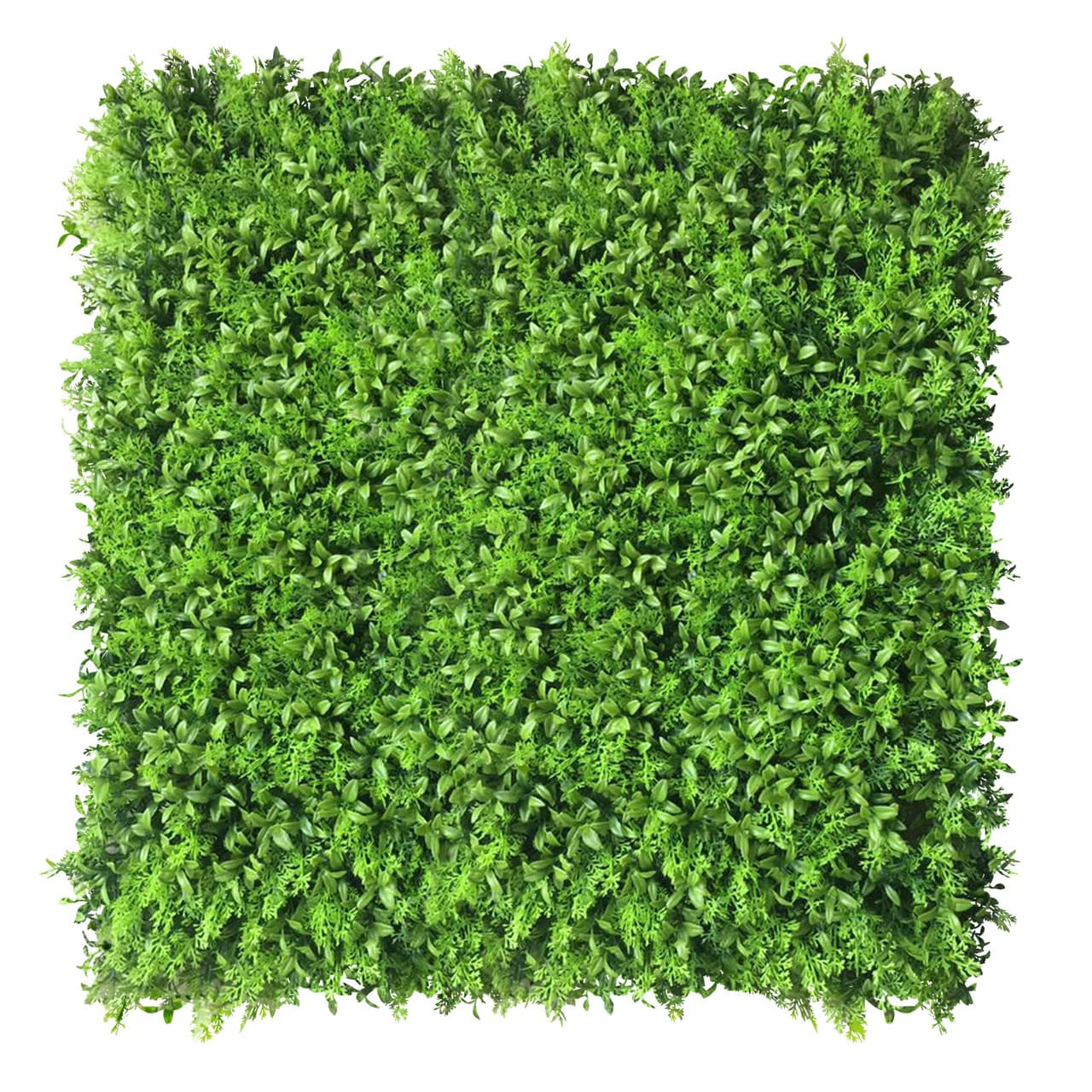 Mur vert Zmienka 50x50 cm