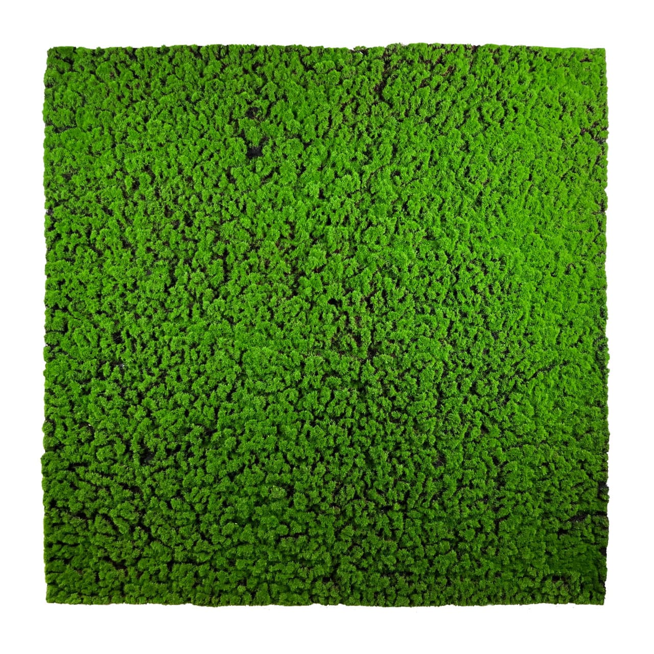 Mousse synthétique Chrobotek 100x100 cm