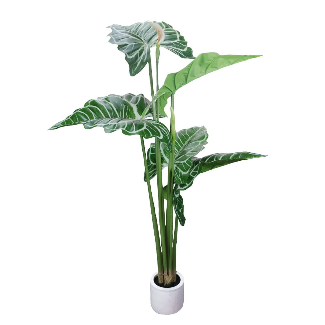 Plante artificielle Alokazja 170 cm
