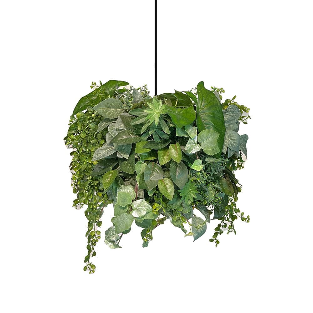 Abaissoir pour lampe Green Ray