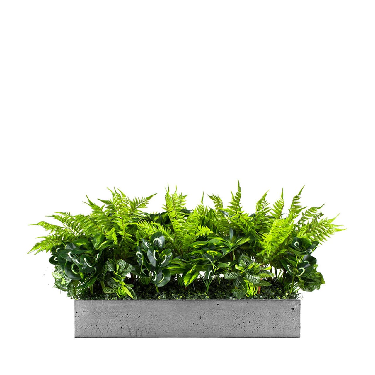 Insert pour pot de fleurs Sunshine Spirit