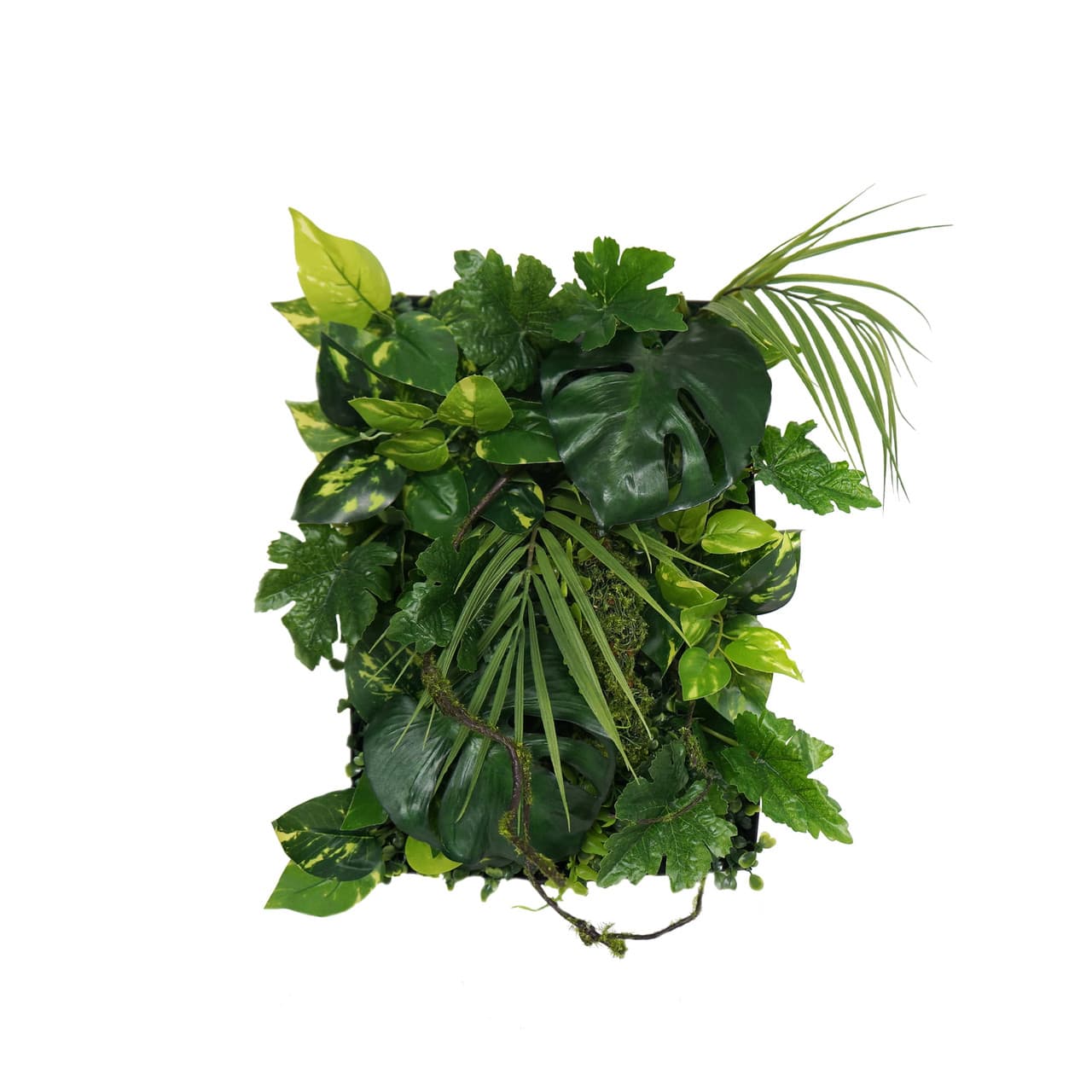 Échantillon de panneau