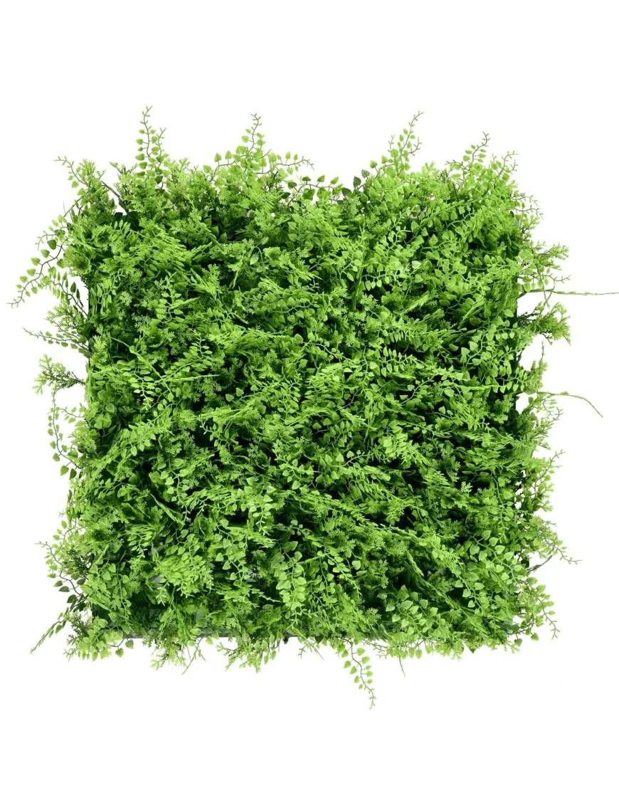 Mur Végétal Fougère – Une Décoration Naturelle et Élégante (Lot de 12 Pièces) couvrant 3 m²